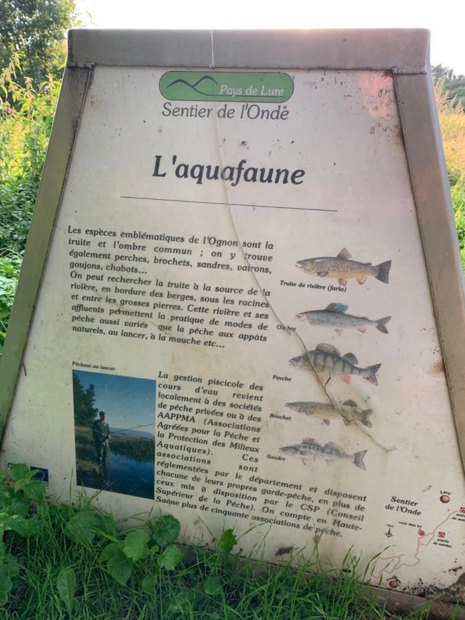 Les Jardins d'Élise, calme et verdure à Lure Lure  Exterior foto