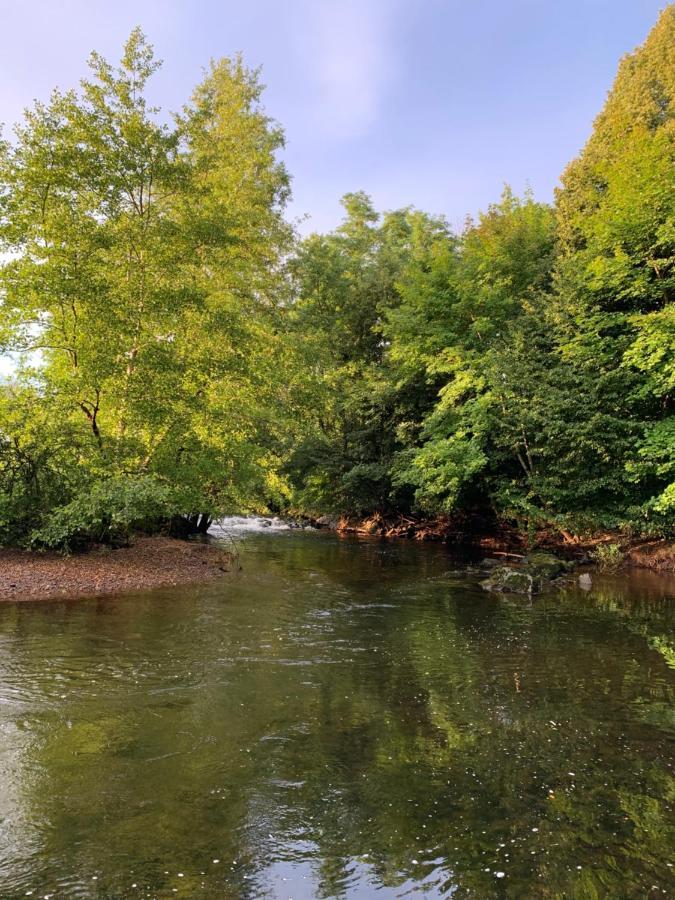 Les Jardins d'Élise, calme et verdure à Lure Lure  Exterior foto